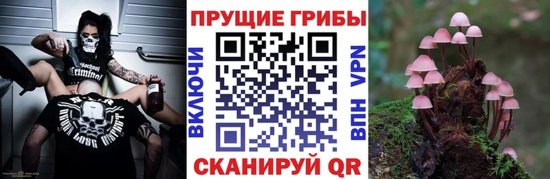 Галлюциногенные грибы ЛСД  Купить где  Фролово 